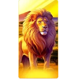 Lion
Safari